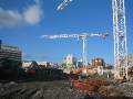 Click for preview picture of "IMG_3630_cranes_30_10_04 (2048 x 1536)"